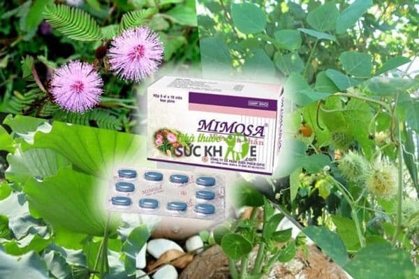 Herbal Remedies for Better Sleep: Exploring Mimosa Tablets